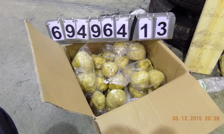 2015-12-8-953foto 11.JPG